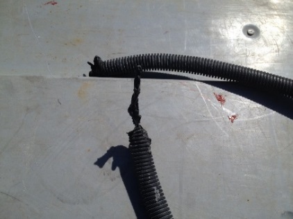 Main control cable conduit burned through